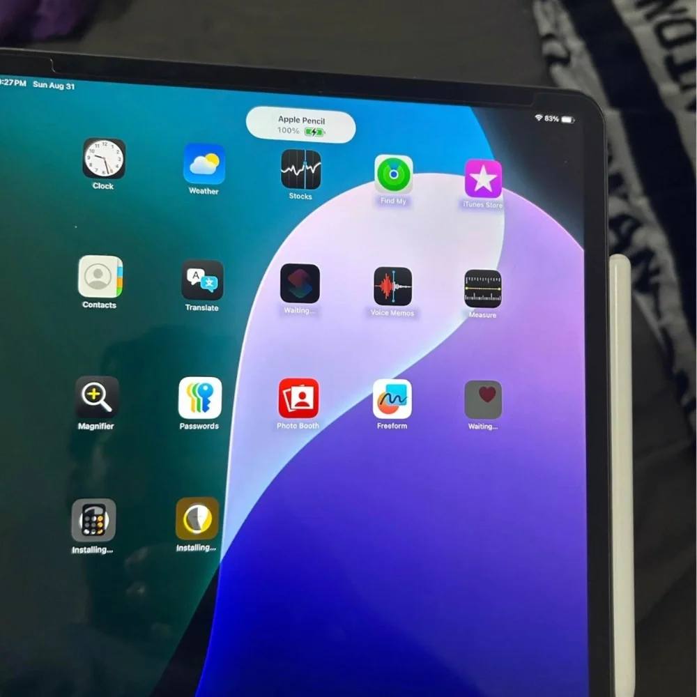 Apple IPad